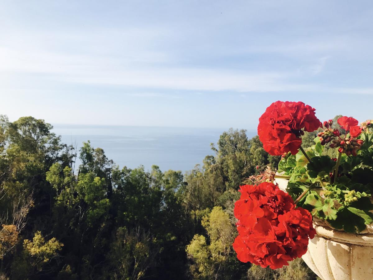 Hotel Villa Riis تاورمينا المظهر الخارجي الصورة